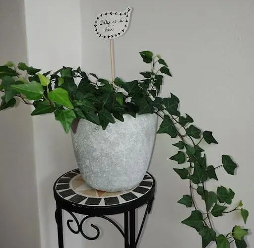 Love Home *