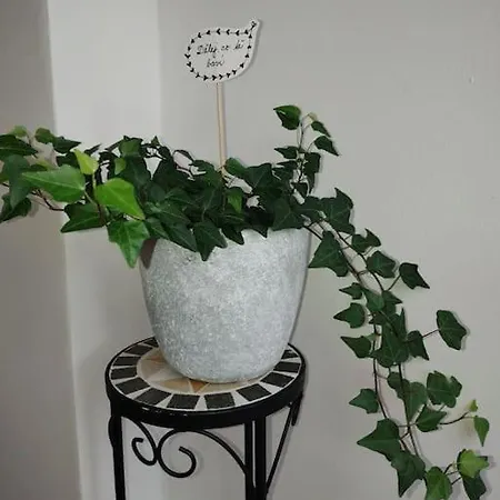 Love Home *